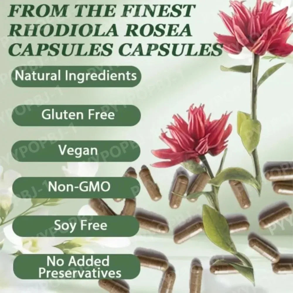 Aspira | Nordic Rhodiola Rosea